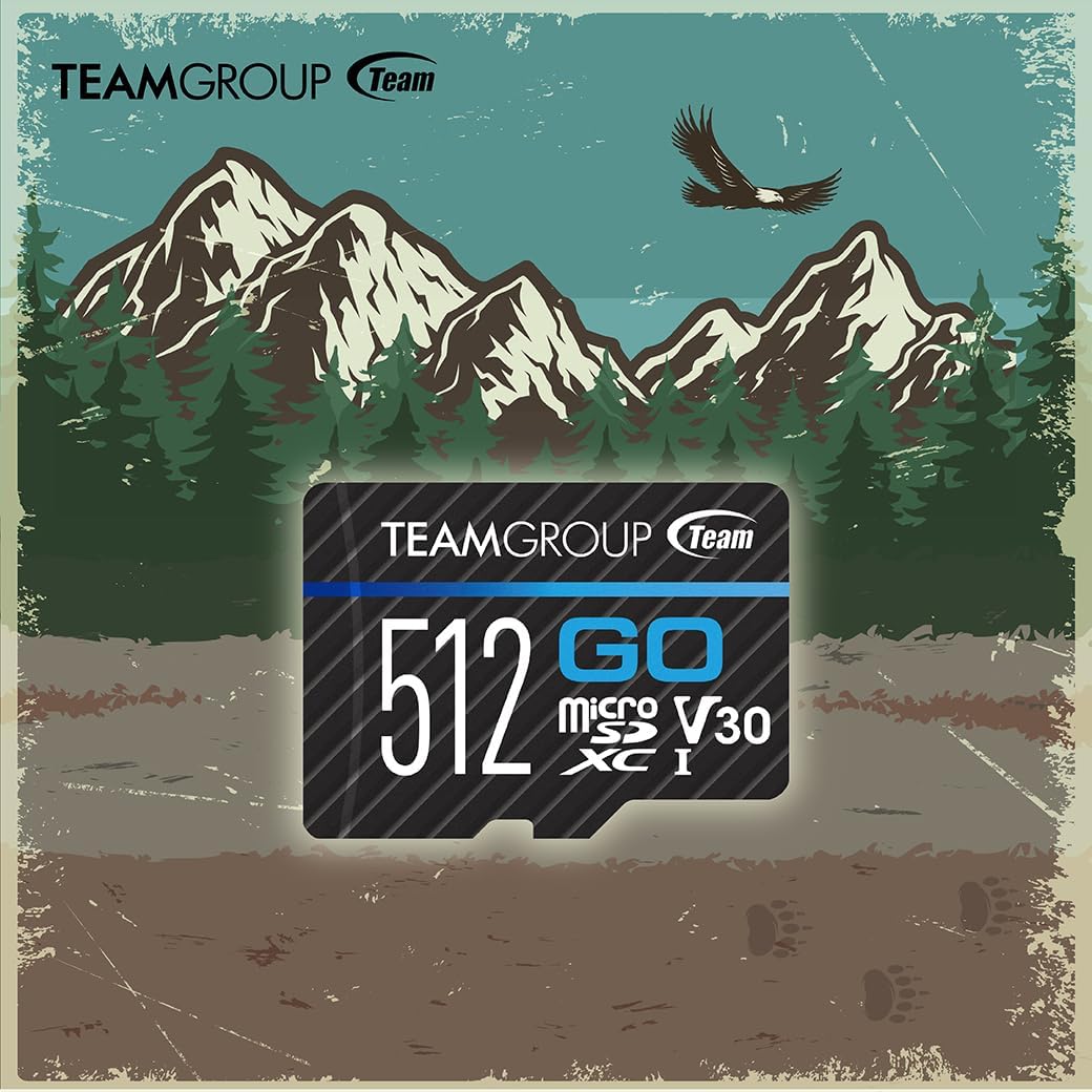 TEAMGROUP GO Card 128GB 10 Pack Micro SDXC UHS-I U3 V30 4K for GoPro & Drone & Action Cameras High Speed Flash Memory Card with Adapter for Outdoor Sports, 4K Shooting, Nintendo-Switch TGUSDX128GU373