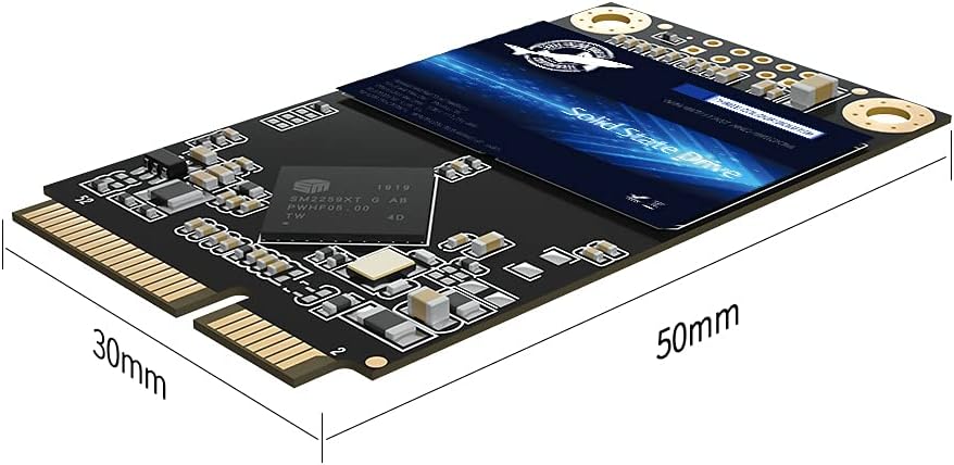 Dogfish mSATA SSD 256GB 3D NAND TLC SATA III 6 Gb/s, mSATA (30x50.9mm) Internal Solid State Drive - Compatible with Desktop PC Laptop - (MSATA 256GB)