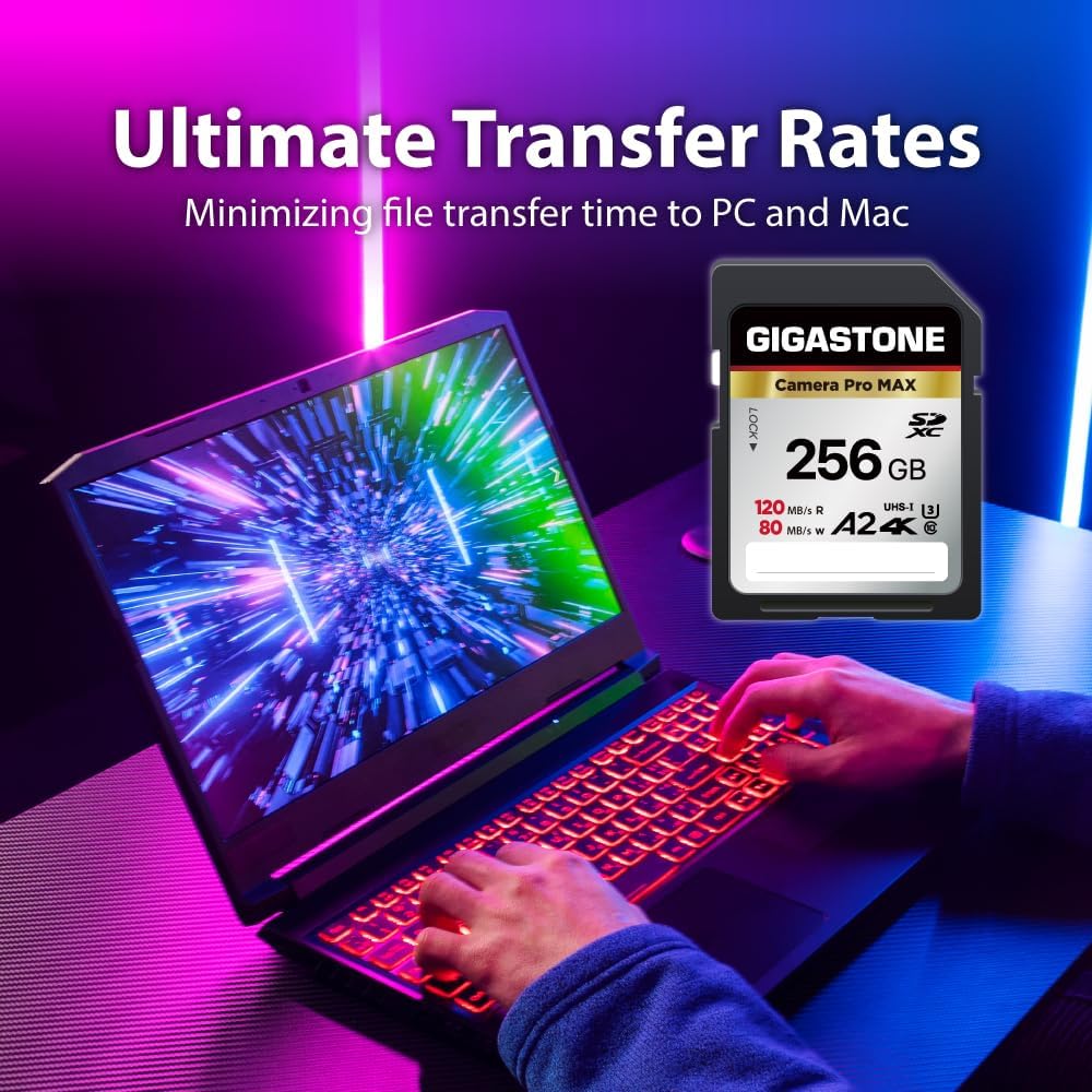 [5-Yrs Free Data Recovery] GIGASTONE 256GB SD Card, 4K Camera Pro MAX, A2 4K SDXC Memory Card High Speed 4K UHD Video Compatible with Canon Kodak Digital Camera, with 1 Mini case