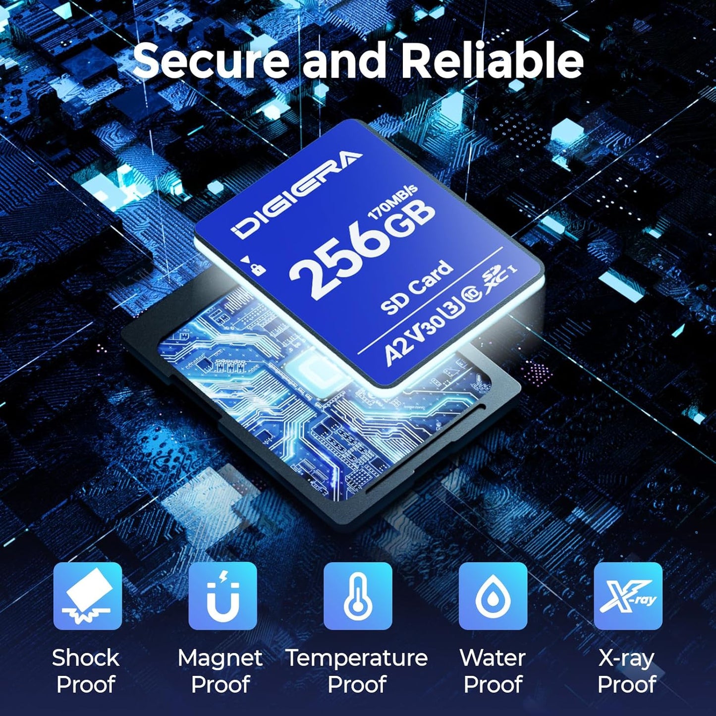 256GB LS100 SDXC UHS-I Memory Card - up to 170MB/s, C10, U3, V30, 4K UHD, SD Card for Computers, Digital Cameras, Home Theatre Devices, Car Navigation Systems (1 Pack)